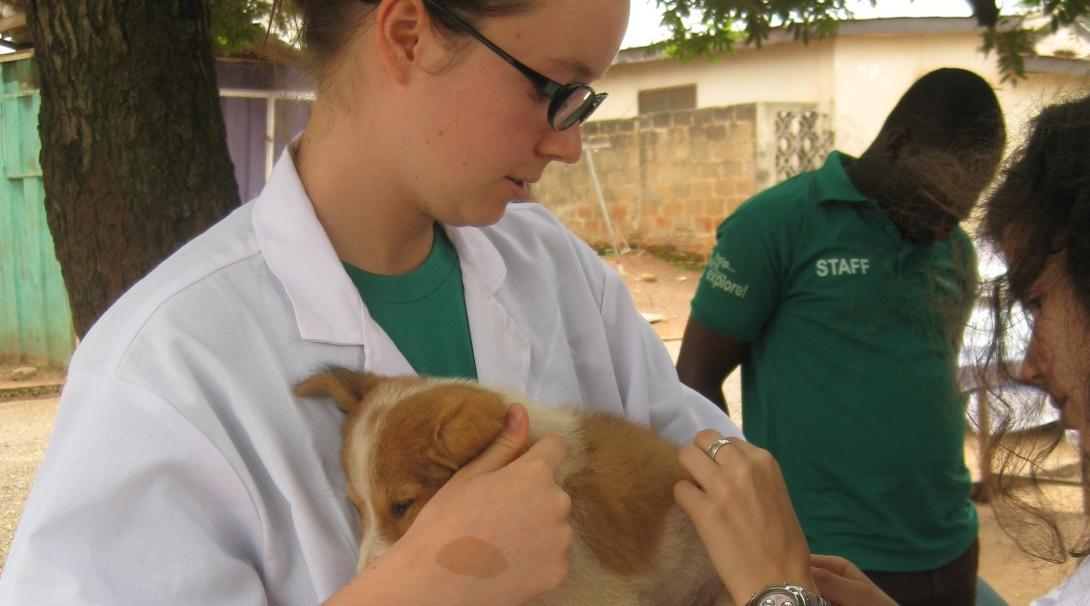 Veterinary Medicine Internship in Ghana Projects Abroad